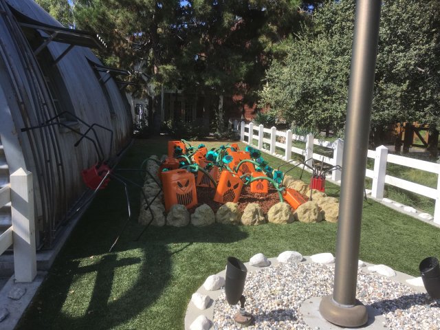 pumpkin patch in Car's Land